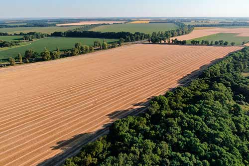 Хід жнив на Полтавщині