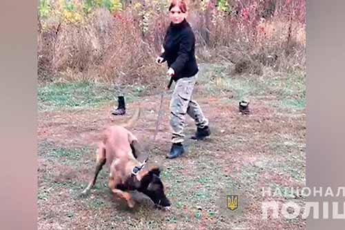 На Полтавщині кінологи знайшли палія сінника