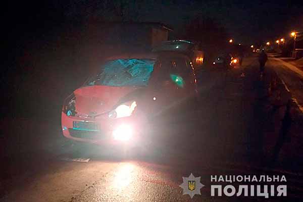 Під Кременчуком, водій збив в темряві коня