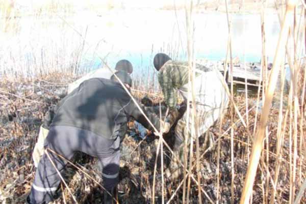 Тіло жінки вилучили зі ставка на Полтавщині