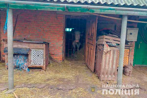 Жахливе вбивство на Полтавщині: син зарубав сокирою рідну матір, а тіло приховав у корівнику