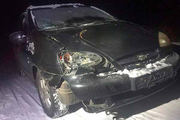  на автодорозі «Оржиця-Чайківщина» травмовано пішохода