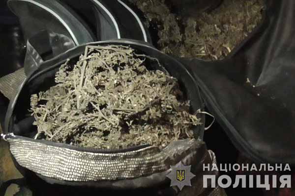 На Полтавщині поліція виявила близько двох кілограмів наркотиків у жителя Лубенського району