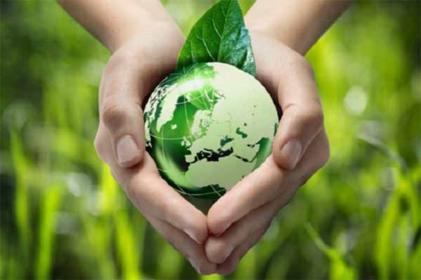 Полтавщина входить у першу п’ятірку областей України, які займаються органічним землеробством