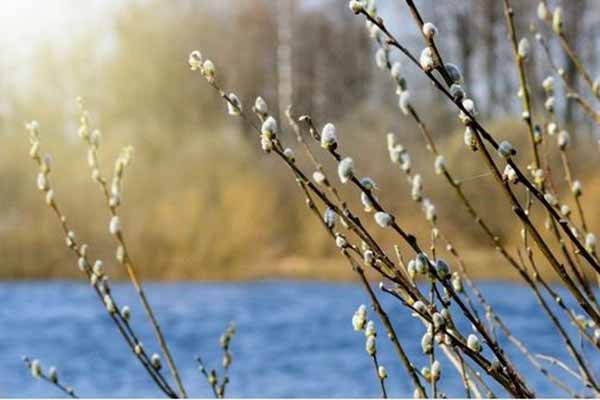 Погода у Гребінці та Полтавщині на травневі свята