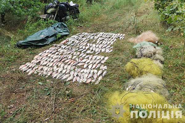 На Полтавщині браконьєр натягав шістьма сітками 57 кілограмів риби