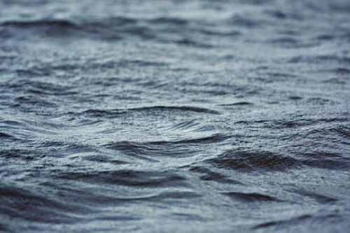 На Полтавщині виявили потопельника