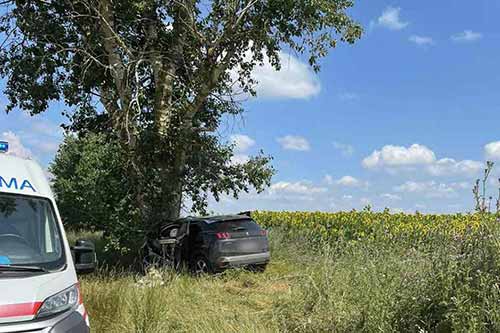 Смертельна ДТП на Полтавщині: водій за кермом Пежо в’їхав у дерево