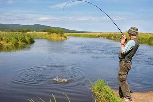 На Полтавщині протягом двомісячника охорони водних біоресурсів вилучили понад 8 тонн риби