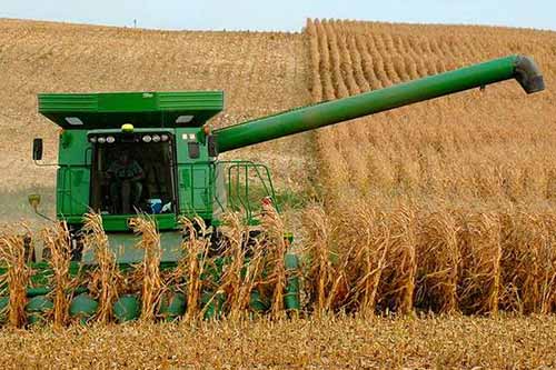 Аграрії Полтавщини намолотили 2 млн. тонн зернових