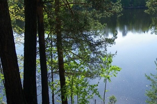 Мешканця Лубен судитимуть за те, що довів матір до самогубства 