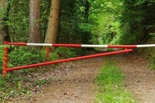 На Полтавщині цивільному населенню заборонено відвідувати ліси