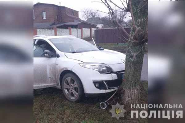 У Козельщині жінка на «Рено» збила підлітка, після чого зіткнулася з деревом