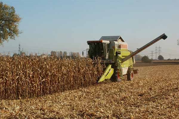 Аграрії Полтавщини намолотили 6,4 мільйона тонн основних сільгоспкультур