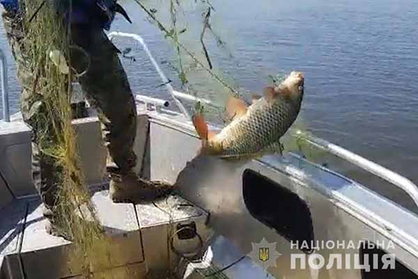 Незаконний вилов риби 