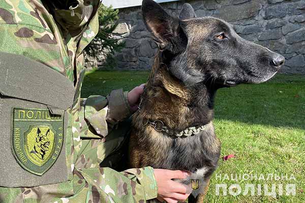 На Полтавщині п’ятьох громадян перевіряють на причетність до співпраці з ворогом