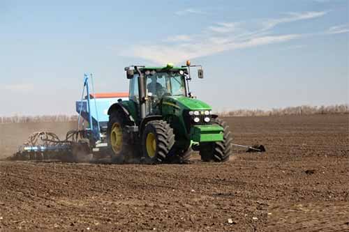 На Полтавщині завершено посів пшениці, гороху та вівса
