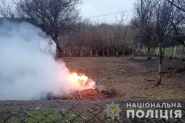 спалюванняя сухого листя