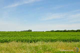 До уваги громадян - землекористувачів!