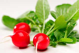 Нaйнeбeзпeчнiшими paннiми oвoчaми є зeлeнь тa peдиcкa