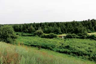 Гідрологічний заказник Сасинівський