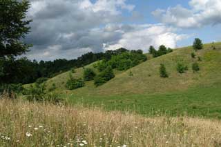 Мандруємо Полтавським краєм