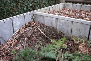 Альтернатива спалюванню: Як перетворити опале листя у цінне добриво