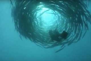 У новій сітці телеканалу “ЛТАВА” додалися документальні фільми, серіали і мультфільми 