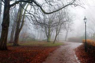 Чому 5 жовтня варто остерігатися сильного вітру і не можна їсти рибу