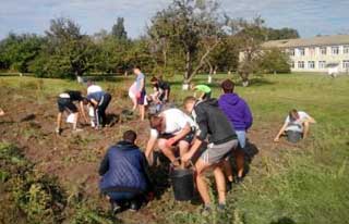 Майорщинська школа: Збір урожаю
