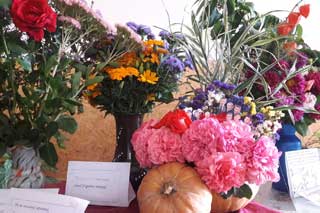 Кулажинська школа: Барвисте свято квіткової краси