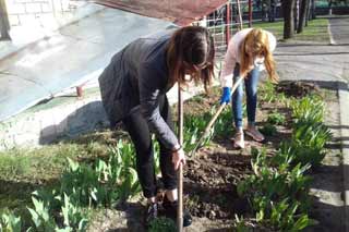 День довкілля