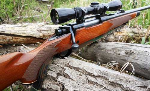 Дозвільна система Гребінківського райвідділу міліції нагадує власникам зброї