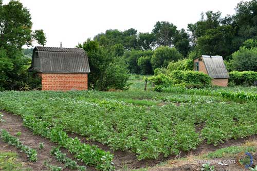Про реєстрацію місця проживання у дачних і садових будинках