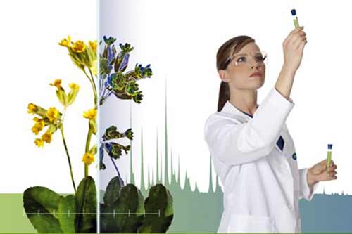 Лучшие природные антибиотики