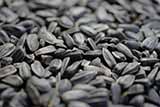 Що станеться з організмом, якщо кожен день їсти насіння