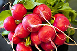 Редиска, редис
