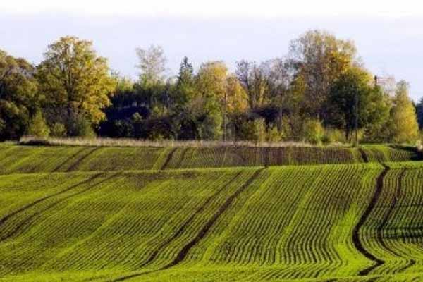 продажа земельных паев продажа земельных паев