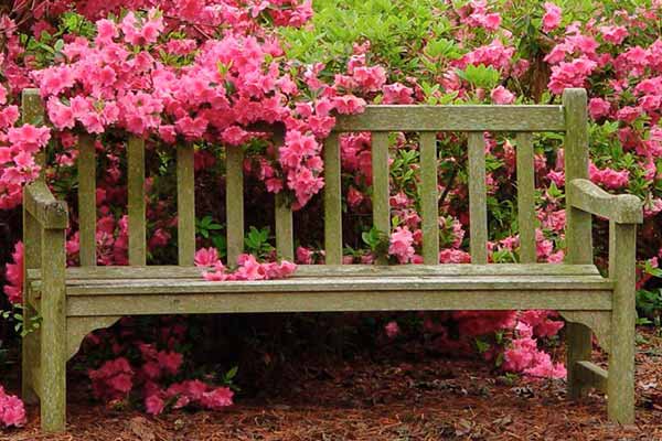 садова лавка для дачі, саду