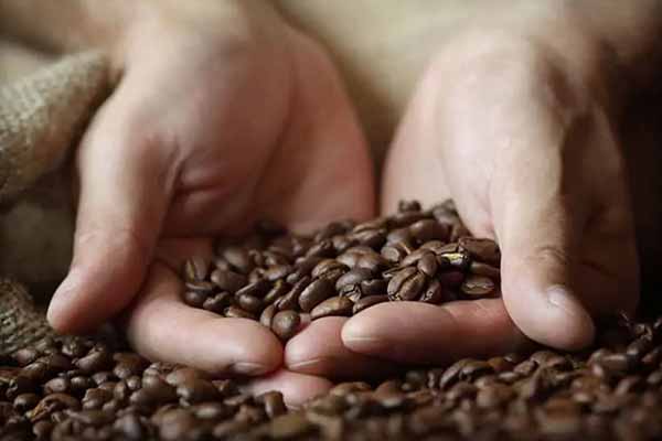  Як вибрати каву у <b>зернах</b>? Допоможемо знайти каву до смаку 