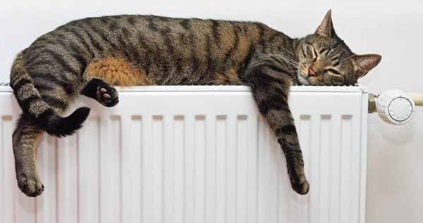 установка счетчиков тепла в Киеве установка счетчиков тепла в Киеве