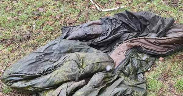 Розбиті росіяни на Чернігівщини