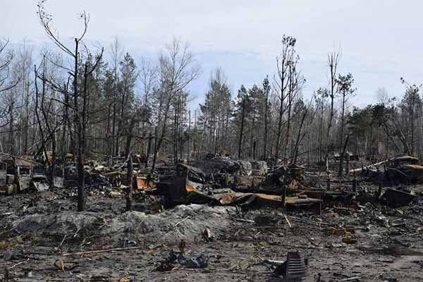 ЗСУ знищили ЗСУ знищили