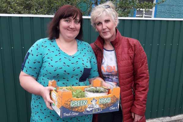 пробація, Гребінка пробація, Гребінка