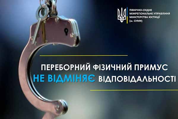 Переборний фізичний примус не відміняє відповідальності