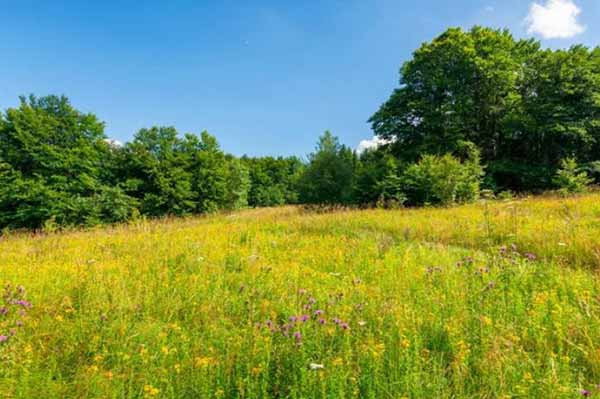 Прогноз погоди на вихідні