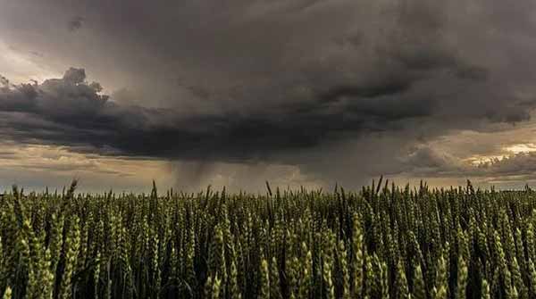 Прогноз погоди на вихідні 9–10 липня: тиждень закінчиться грозами Прогноз погоди на вихідні 9–10 липня: тиждень закінчиться грозами