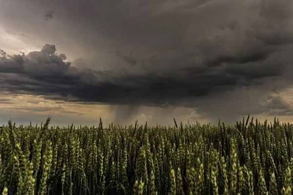  <b>Прогноз</b> погоди на вихідні 9–10 липня: тиждень закінчиться грозами 