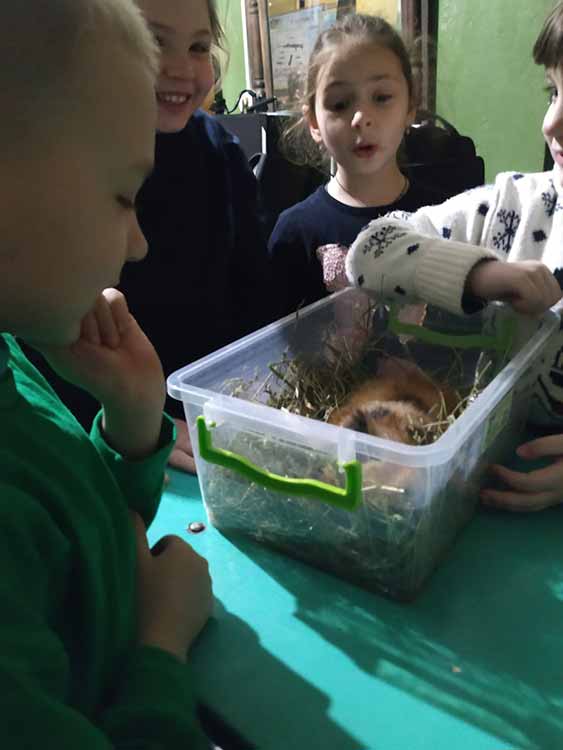 Гребінківська гімназія: урок «Я досліджую світ», 2 клас