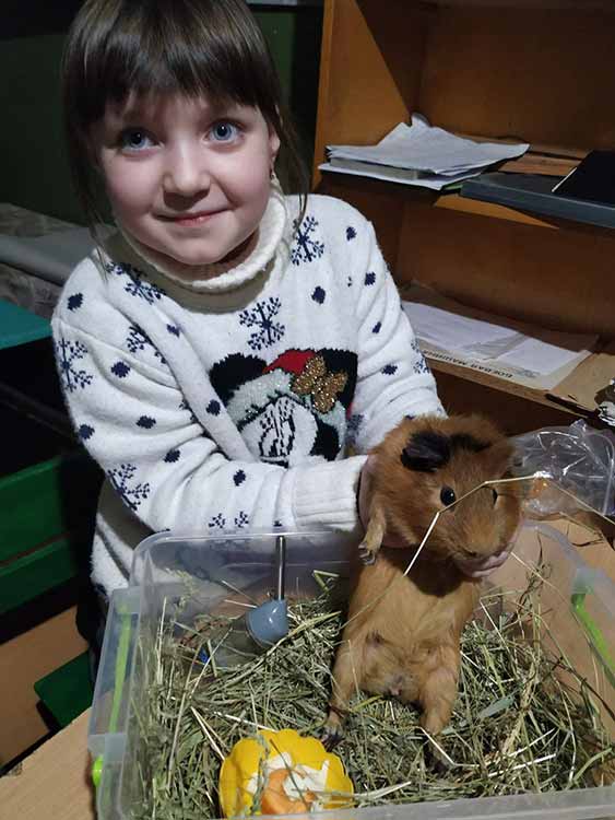 Гребінківська гімназія: урок «Я досліджую світ», 2 клас